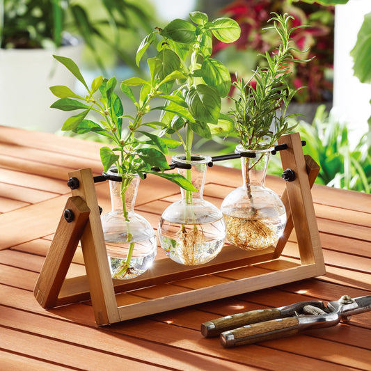 Better Homes & Gardens Glass & Wood Propagation Station - Modern Plant Holder